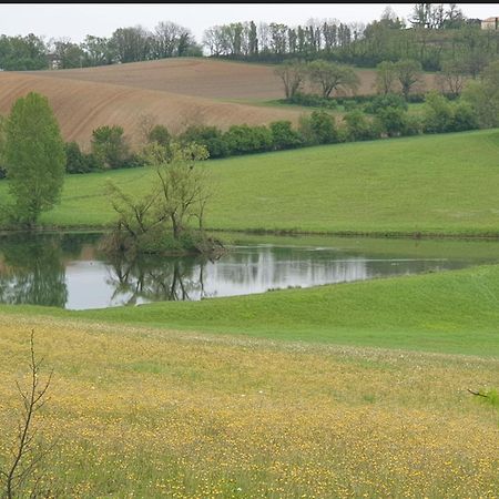 Seuls En Pleine Nature - Gite La Cote Blanche Puygaillard-de-Quercy 외부 사진