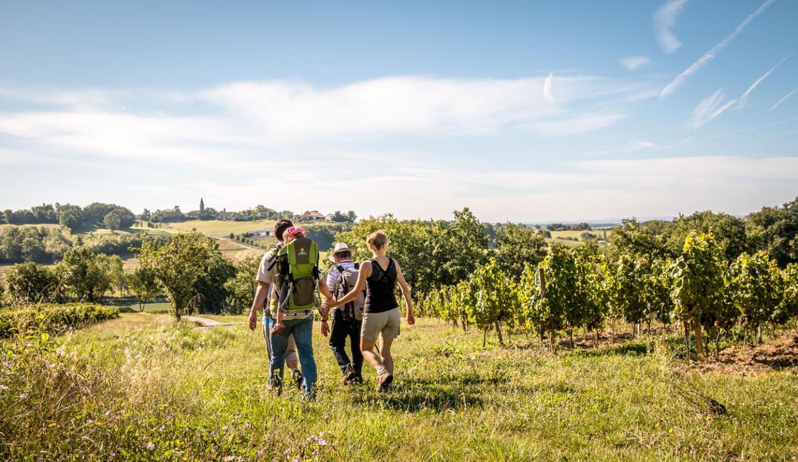 Seuls En Pleine Nature - Gite La Cote Blanche Puygaillard-de-Quercy 외부 사진