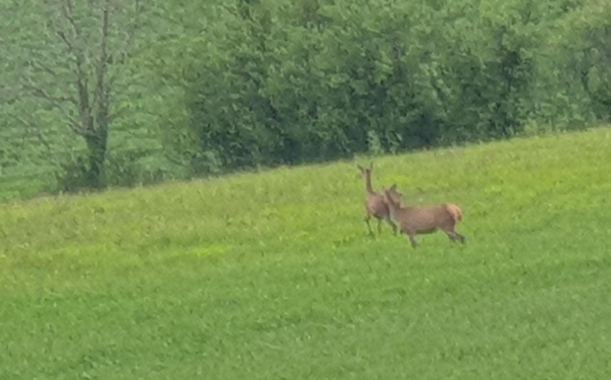 Seuls En Pleine Nature - Gite La Cote Blanche Puygaillard-de-Quercy 외부 사진