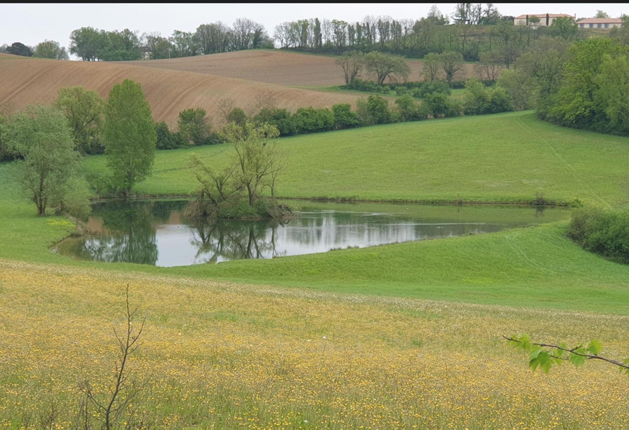 Seuls En Pleine Nature - Gite La Cote Blanche Puygaillard-de-Quercy 외부 사진