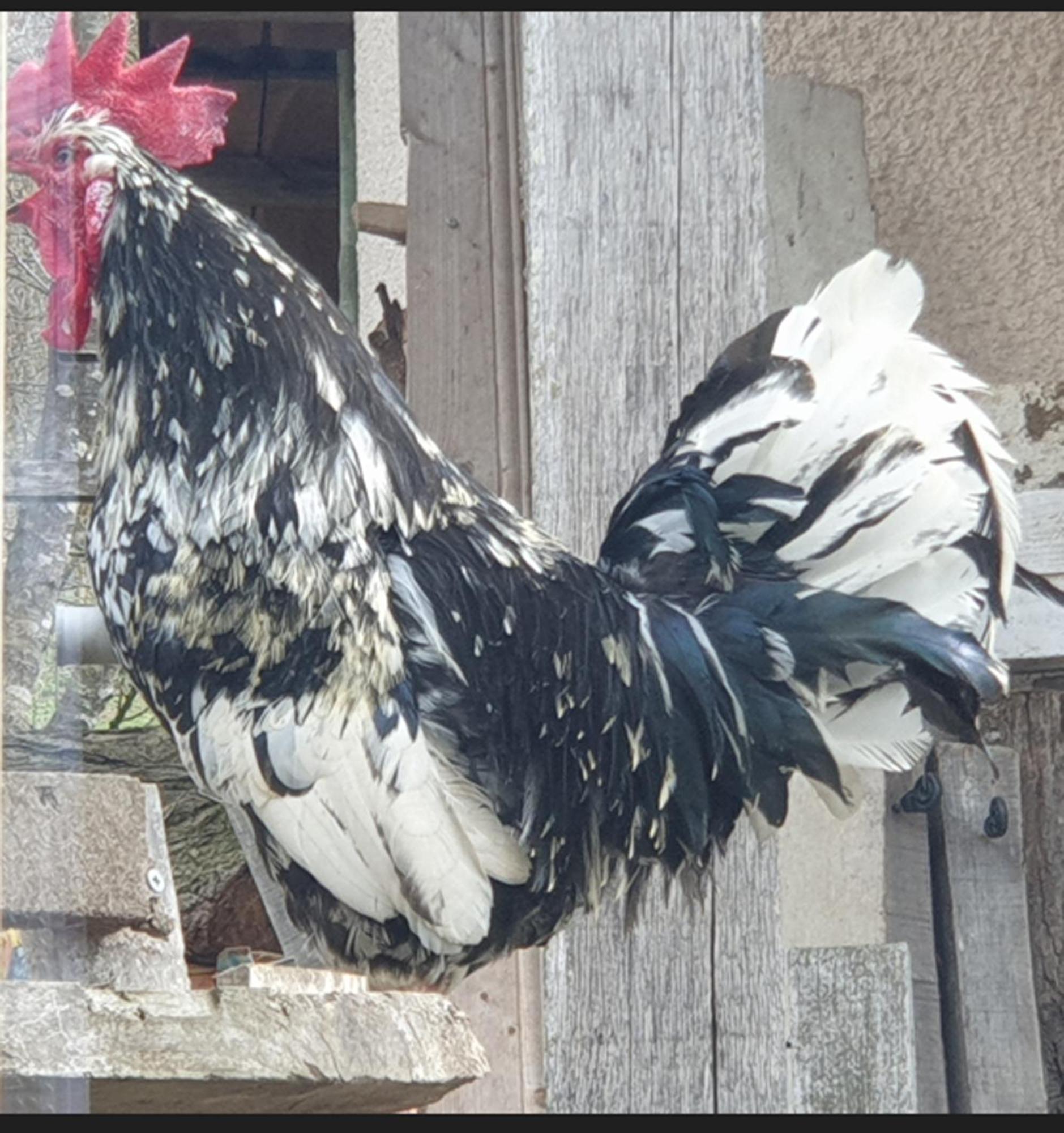 Seuls En Pleine Nature - Gite La Cote Blanche Puygaillard-de-Quercy 외부 사진